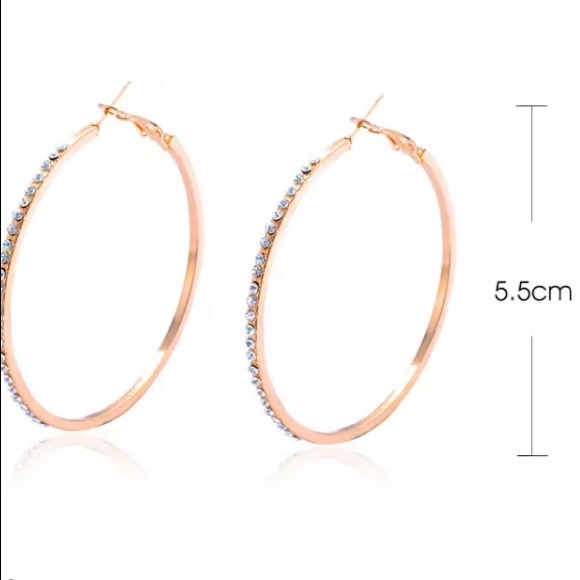 “Double the Diamonds" Gem Hoop Statement Earrings - Picture 6 of 8